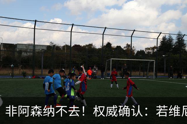非阿森纳不去！权威确认：若维尼修斯今夏离队，枪手是唯一目的地